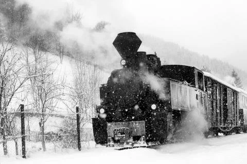 Train in maramures forest, winter time Stock Photos