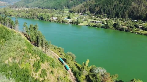 Train mooving through the forest, wineries alonong the banks of Maule river near Stock Footage 255504070