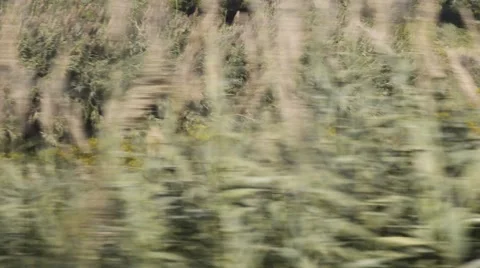 Train in motion Vidéo 44308019