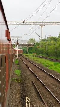 Train moving in forest 스톡 사진