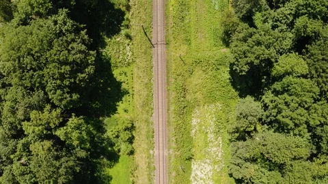 Train moving on railroad through green summer forest. Video stock 112753719