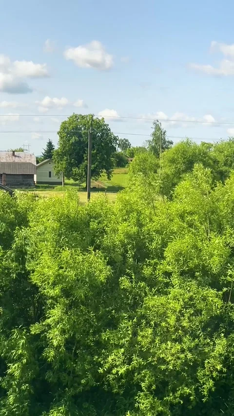 A train moving through the countryside against the backdrop of houses and trees. Stock Footage 317353058