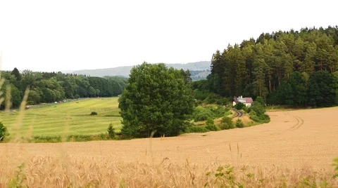 Train moving through the countryside Stock Footage 58948395