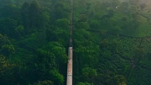 Train Moving Through a Dense Green Forest 스톡 동영상 336676100