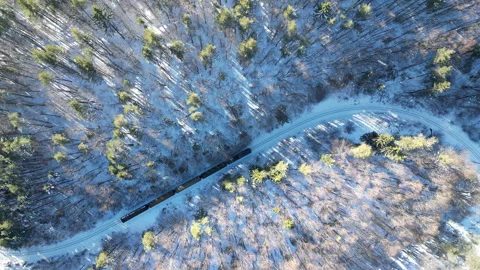 Train Moving Through Snowy Forest Stock Footage 267369241