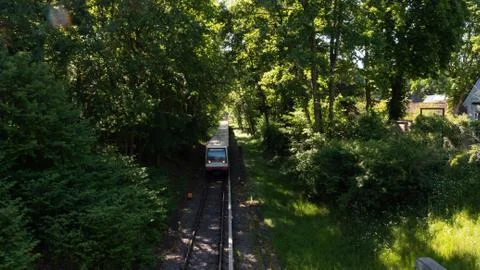 Train nature 库存照片