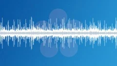 Train noisy tracks 2 Sound Effect