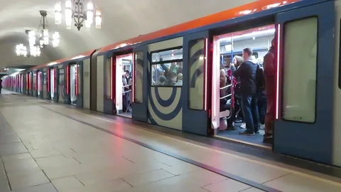 The train notifies and closes the door. Stock Footage 108309792