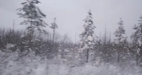 The train offers a mesmerizing view of woods, their forms buried under the Video stock 253439083