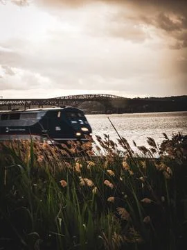 Train over Bridge During Sunset 스톡 사진