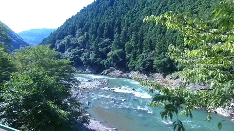Train over river bridge Stock Footage 73332762