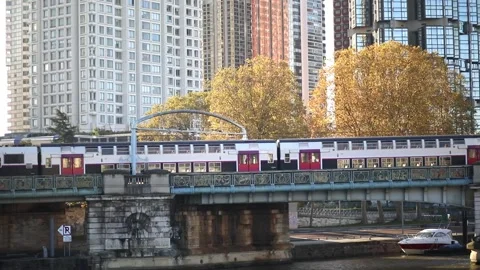 Train of Parisian subway passing through Pont Rouelle in Paris, France Stock Footage 317078786