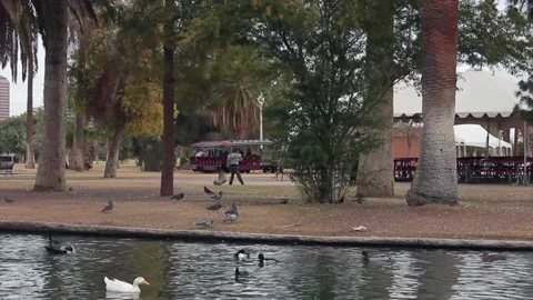 Train at the park Stock Footage 167515803