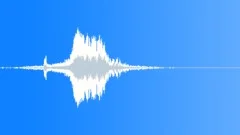 Train Passby Right to Left with Horn Short 06 Sound Effect
