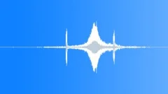 Train Passby Right to Left with Horn Short 08 Sound Effect