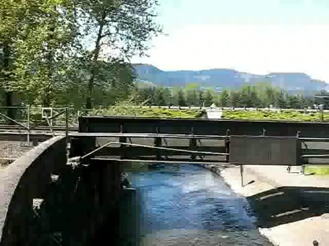 Train Passed By  Stock Footage 380904