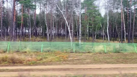 Train passenger point of view travel through countryside Lithuania on publi.. Stock-Footage 226281758