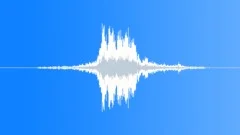 TRAIN, PASSENGER Sound Effect