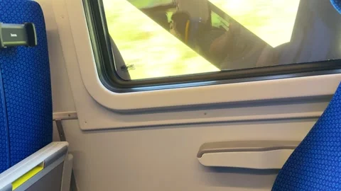 Train passenger watching landscape passing by through window Stock Footage 313352187