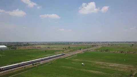 A train passes in the middle of rice field Stock Footage 130207248