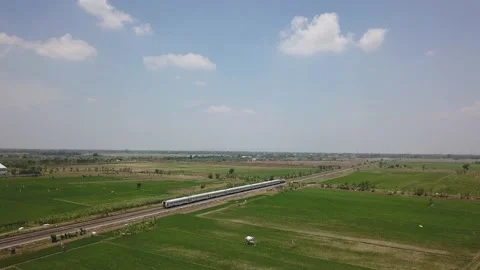 A train passes in the middle of rice field Video stock 130207349