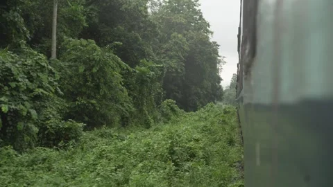 A train passes over a bridge through dense forest in North Bengal Stock Footage 249624242