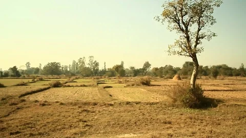 Train passes through countryside with audio 2 Video stock 102775727
