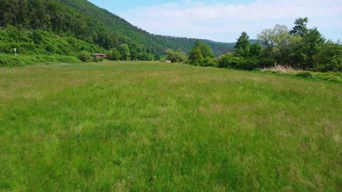 The train passes through the green field Stock Footage 155246988