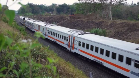 Train passes through rice field area. Indonesian train passes through plantation Stock-Footage 284942441