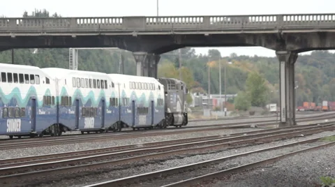 Train passes under overpass Stock Footage 44349099