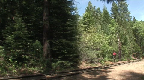 Train passing 2 Stock Footage 476292