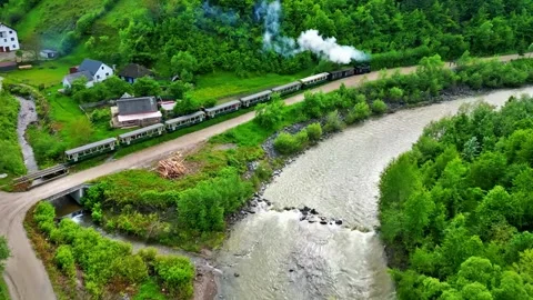 Train Passing Beside River in Green Landscape Stock Footage 322827533