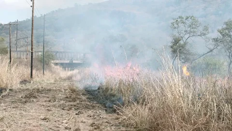 Train passing bridge behind bush fire burning tall grass in the foreground Stock Footage 84027782