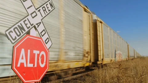 Train Passing by in Countryside 2 Stock Footage 99019654