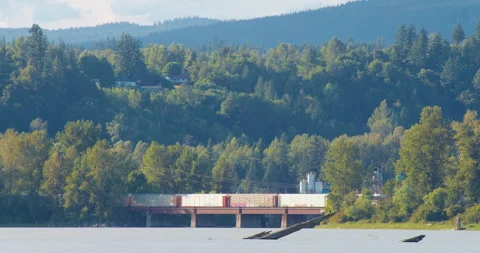 Train Passing in Distance 4K Stock Footage 160149093