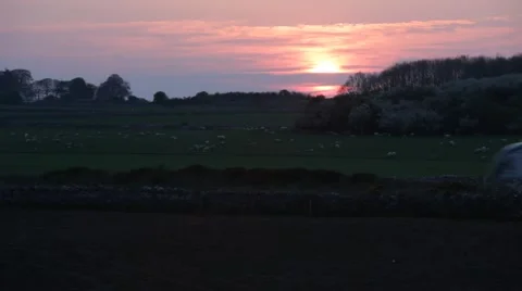 Train passing the fields during sunset 스톡 동영상 50209269