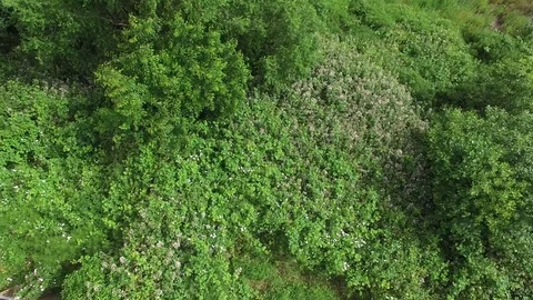 Train passing Stock Footage 71274297