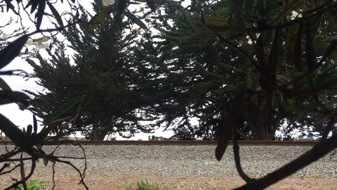 Train Passing By Stock Footage 83471020