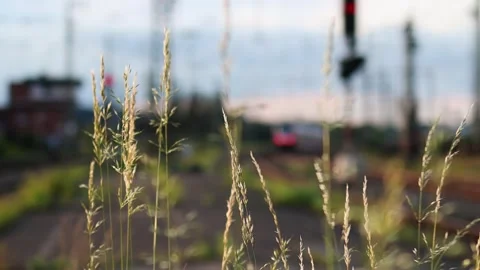 A train passing by grass blur video Stock-Footage 249272332