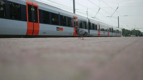 Train Passing in London Overground 스톡 동영상 41508536