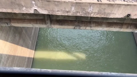 The train is passing over Farakka. Stock Footage 313456142