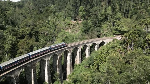 Train passing over Nine Arch bridge in Sri Lanka Video stock 244352667