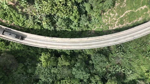 Train passing over Nine Arch bridge in Sri Lanka Video stock 244352705