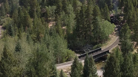 Train passing over tracks and bridge -2 clips Stock Footage 79629052