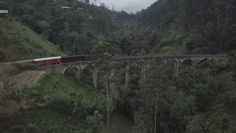 Train passing the railway bridge Stock Footage 86693623