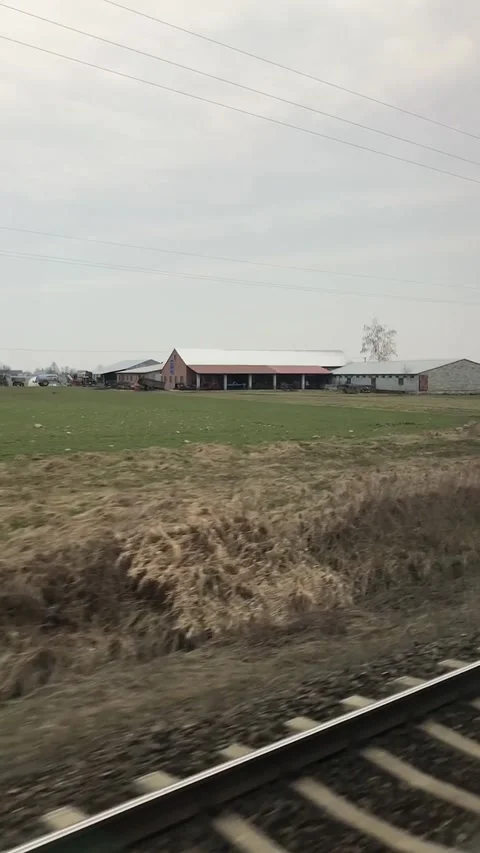 Train Passing Rural Landscape with Overcast Sky Stock Footage 338126353