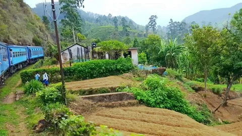 Train passing small village at tea plantations. Sri Lanka Stock-Footage 73344878