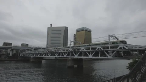 Train passing by on Sumida River Bridge, some buildings in background Vídeos de archivo 344502655