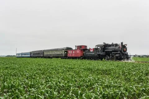 Train passing through a field Stock Photos