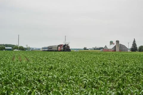 Train passing through a field Stock Photos